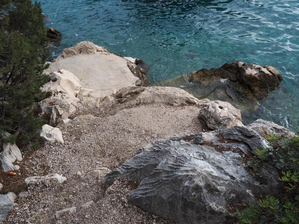 Arte Oliva Bed & Breakfast Grebaštica Eksteriør bilde