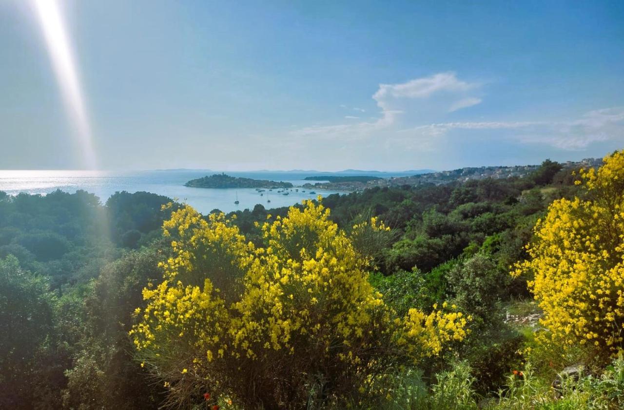 Arte Oliva Bed & Breakfast Grebaštica Eksteriør bilde