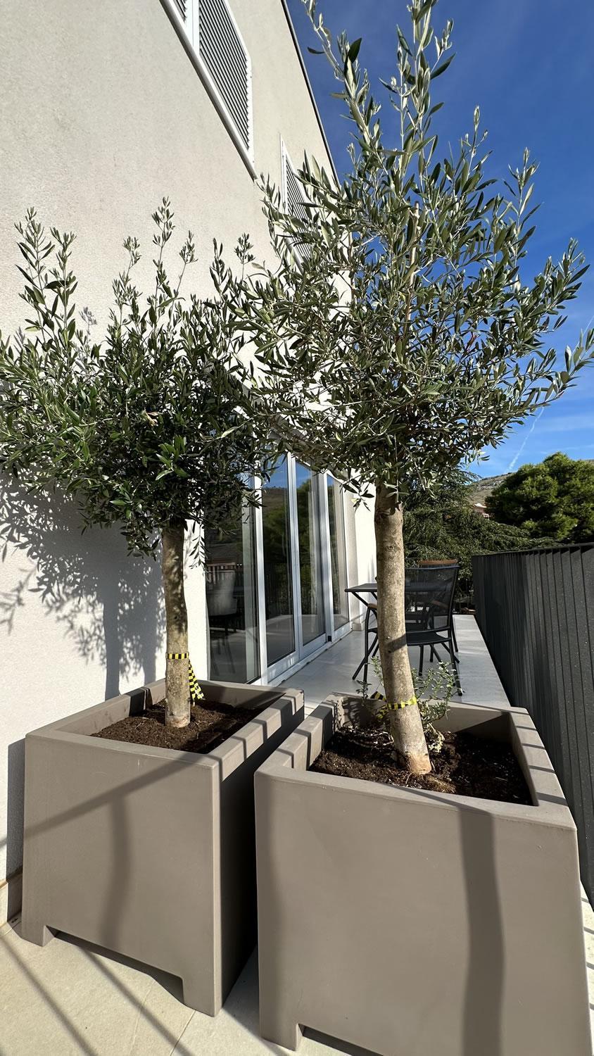 Arte Oliva Bed & Breakfast Grebaštica Eksteriør bilde